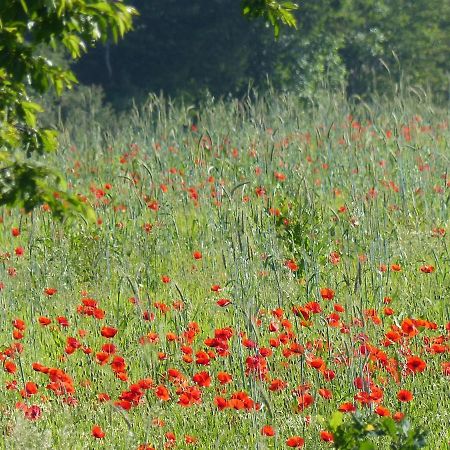 Villa Au Ptit Coquelicot Houyet Esterno foto